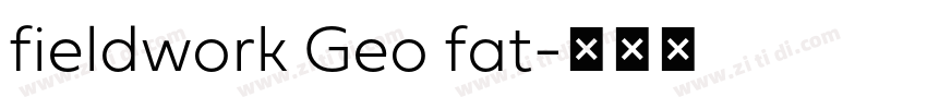 fieldwork Geo fat字体转换
